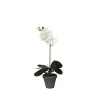 Maceta orquídea artificial blanca - 11.5x48cm