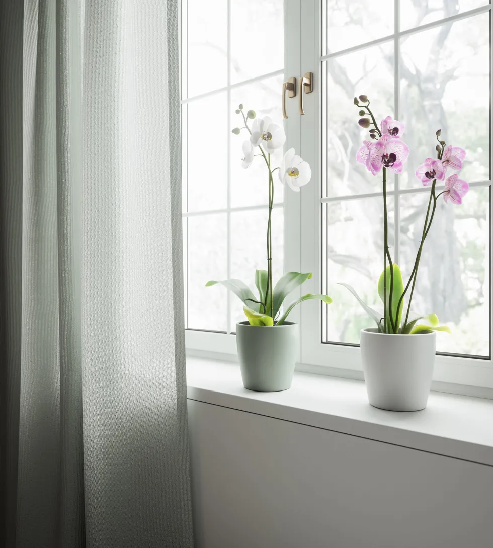 Maceta para Orquídeas Thalia blanca