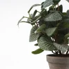 Maceta pilea artificial verde - 35x25cm
