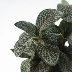 Maceta pilea artificial verde - 35x25cm