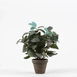 Maceta pilea artificial verde - 35x25cm
