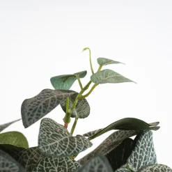Maceta pilea artificial verde - 35x25cm