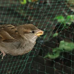 Malla antipajaros