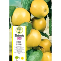 Manzano "Golden" (árbol frutal)