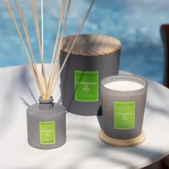 Mikado Cerería Mollá Citronella & Tea (100 ml)