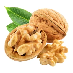 Nogal (Juglans regia)
