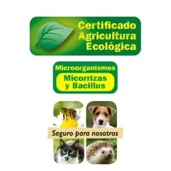Palitos fertilizantes flor