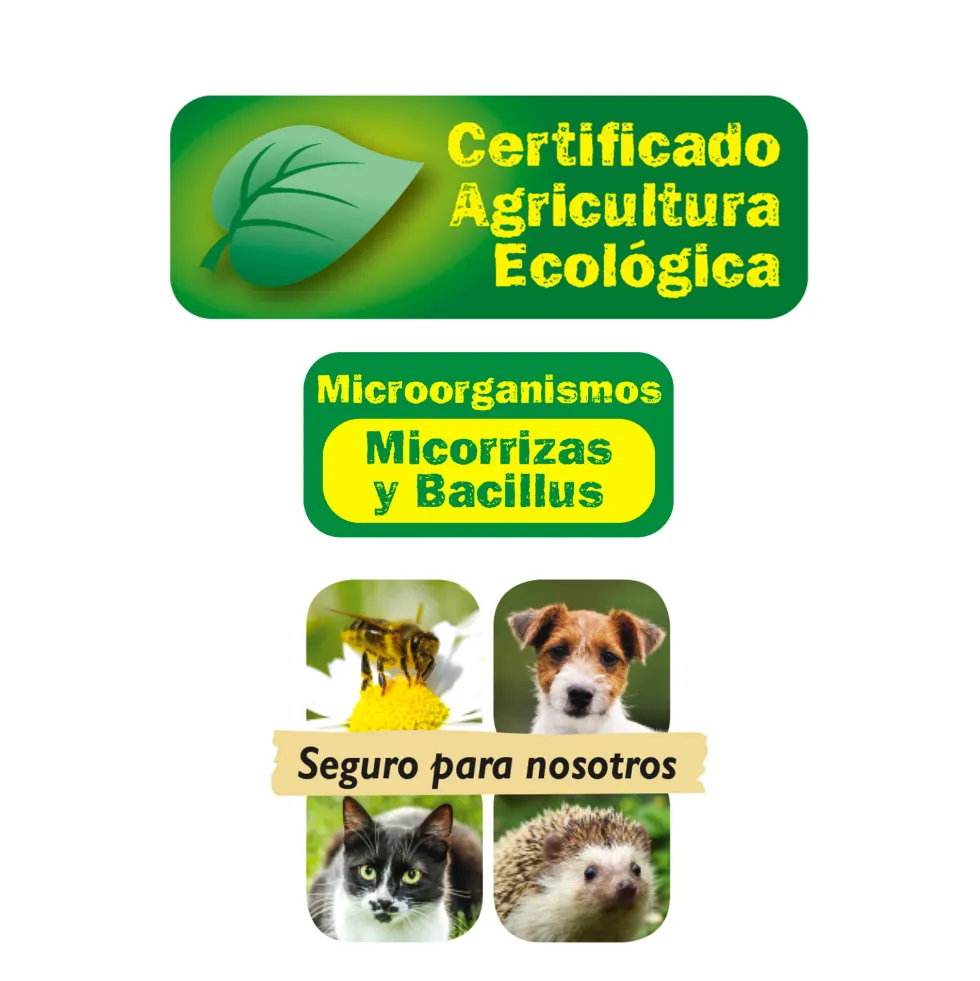 Palitos fertilizantes flor