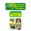 Palitos fertilizantes plantas verdes