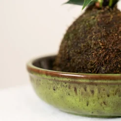 Plato para Kokedama terracota verde