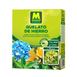 Quelato de hierro masso