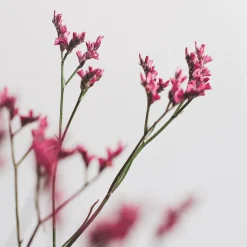 Ramillete de Limonium rosa