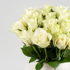 Ramillete de Mini Rosas Blancas