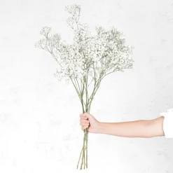 Ramillete de Paniculata blanca