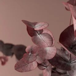Ramillete Preservado de Eucalipto cinerea granate