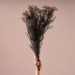 Ramillete Preservado de Flor de Arroz