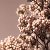 Ramillete Preservado de Flor de Arroz rosa