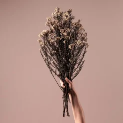 Ramillete Preservado de Flor de Arroz rosa