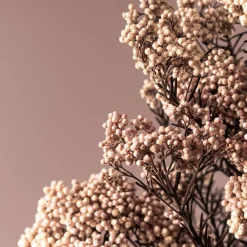Ramillete Preservado de Flor de Arroz rosa