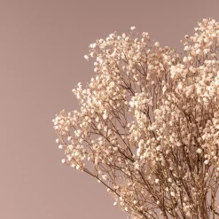 Ramillete Preservado de Paniculata Million Daisy natural
