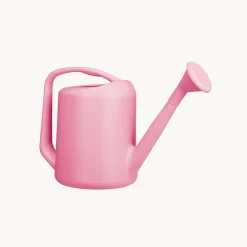 Regadera Medium magenta
