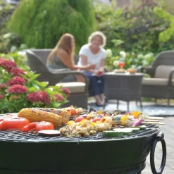 Rejilla de Acero Inoxidable para Chimeneas Esschert