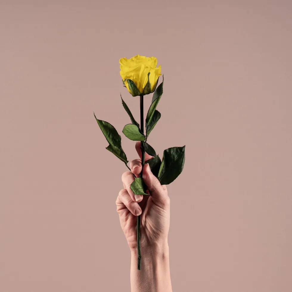 Rosa Preservada Eterna Amarilla