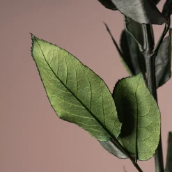 Rosa Preservada Eterna Amarilla