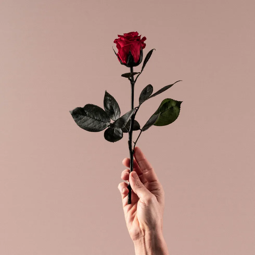 Rosa Preservada Eterna Roja
