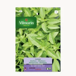 Semilla albahaca lemon