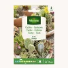 Semilla cactus variados