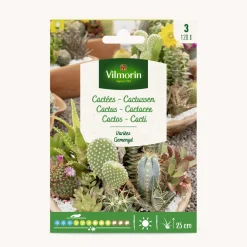 Semilla cactus variados