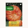 Semilla calabaza rojo vivo etampes