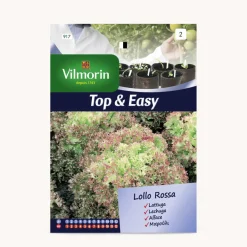 Semilla lechuga lollo rossa