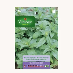 Semilla menta piperita