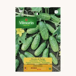 Semilla pepinillo cornichon de paris
