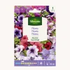 Semilla petunia enana variada