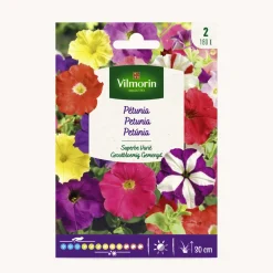 Semilla petunia superbissima