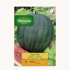 Semilla sandia sugar baby