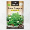 Semillas brote lentejas