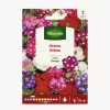 Semillas de Verbena × hybrida