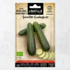 Semillas ecológicas de pepino marketmore 70