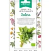 Semillas Salvia Medicinal Batlle