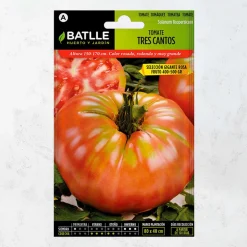 Semillas tomate 3 cantos gigante rosa