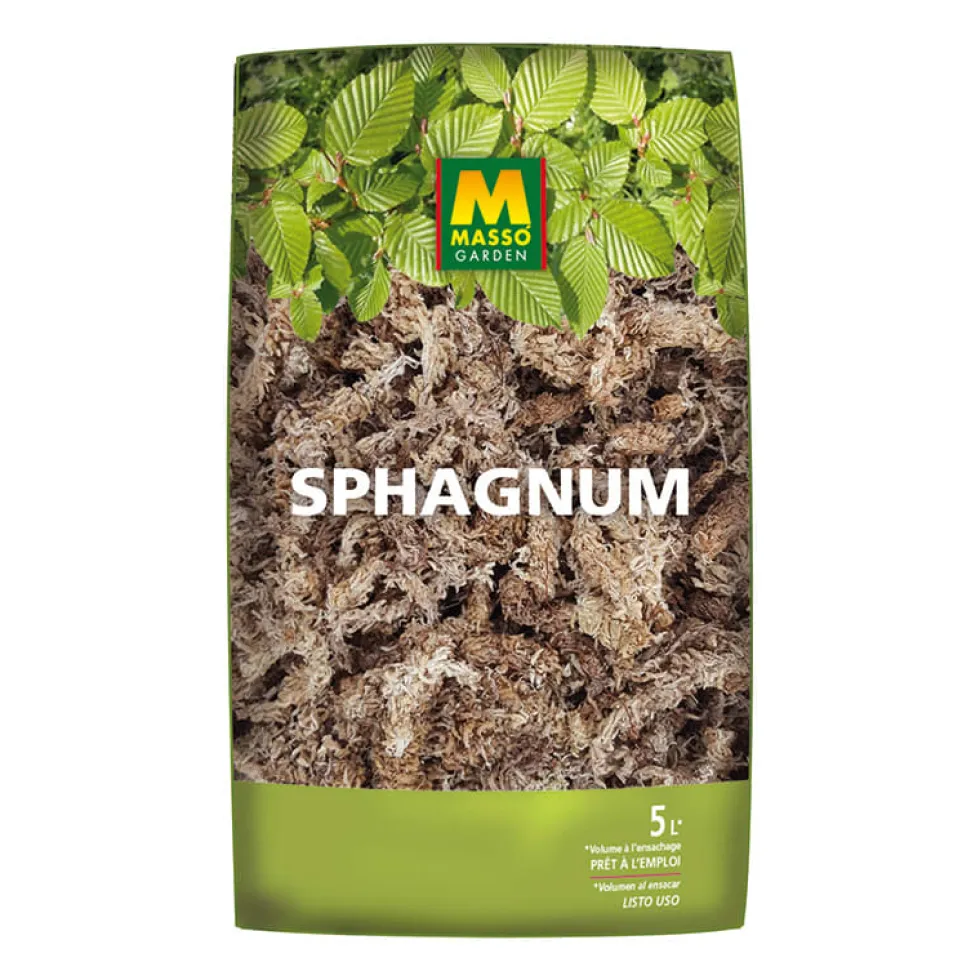 Sustrato de musgo Sphagnum Massó