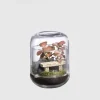 Terrario plantas Terra Capsule Landscape