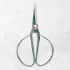 Tijera pinzadora inox 120mm