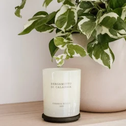 Vela perfumada Cerería Mollá Bergamotto di Calabria (230 gr)