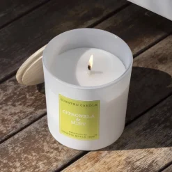 Vela perfumada Cerería Mollá Citronella & Mint (180 gr)