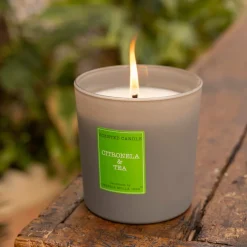Vela perfumada Cerería Mollá Citronella & Tea (180 gr)
